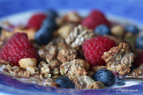 Granola_4