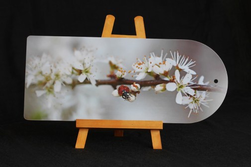 Nyckelpiga i slån skärbräda